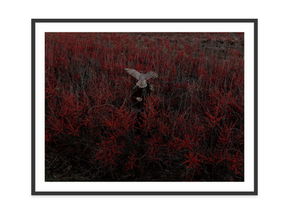 Image rendered by ArtFlows