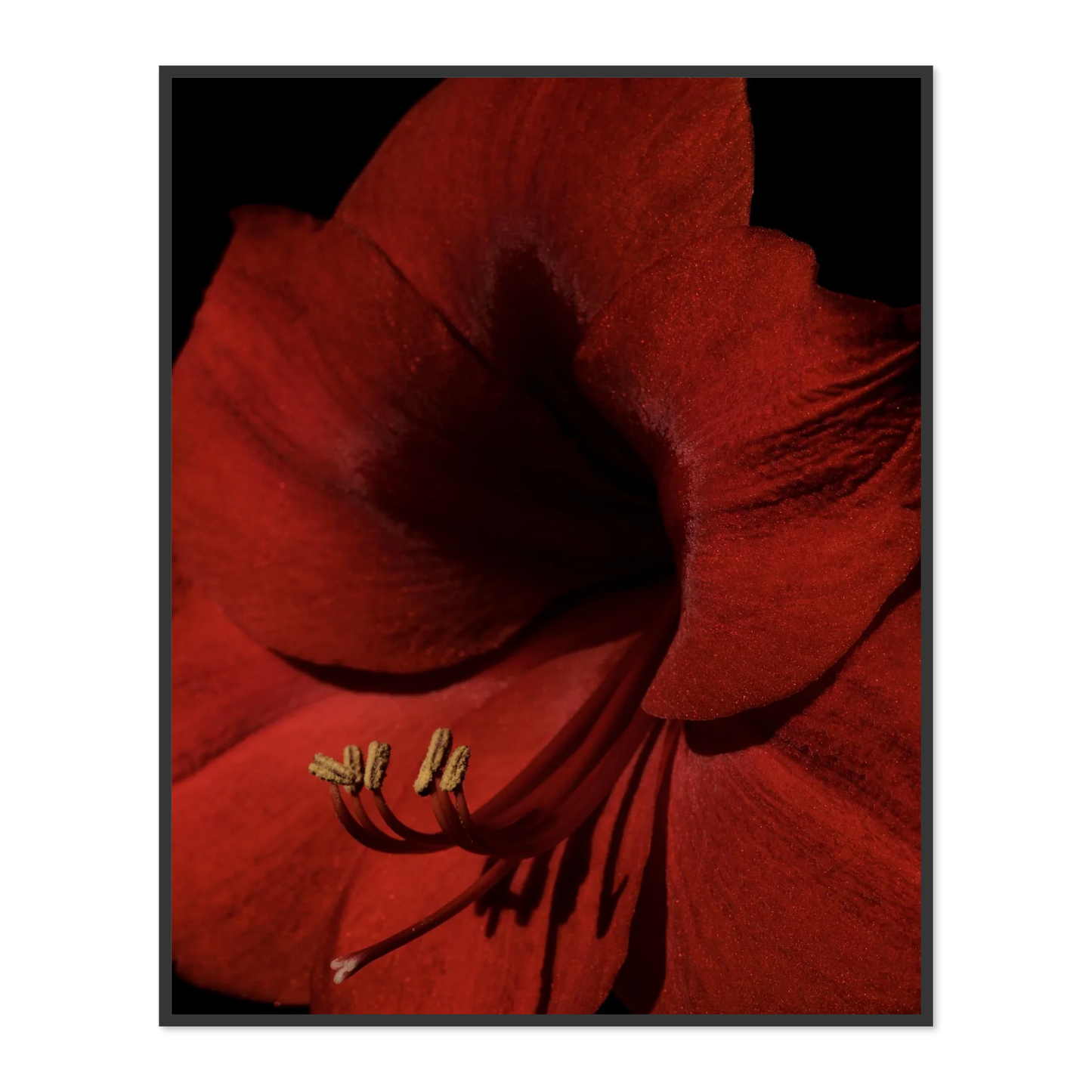 Image rendered by ArtFlows