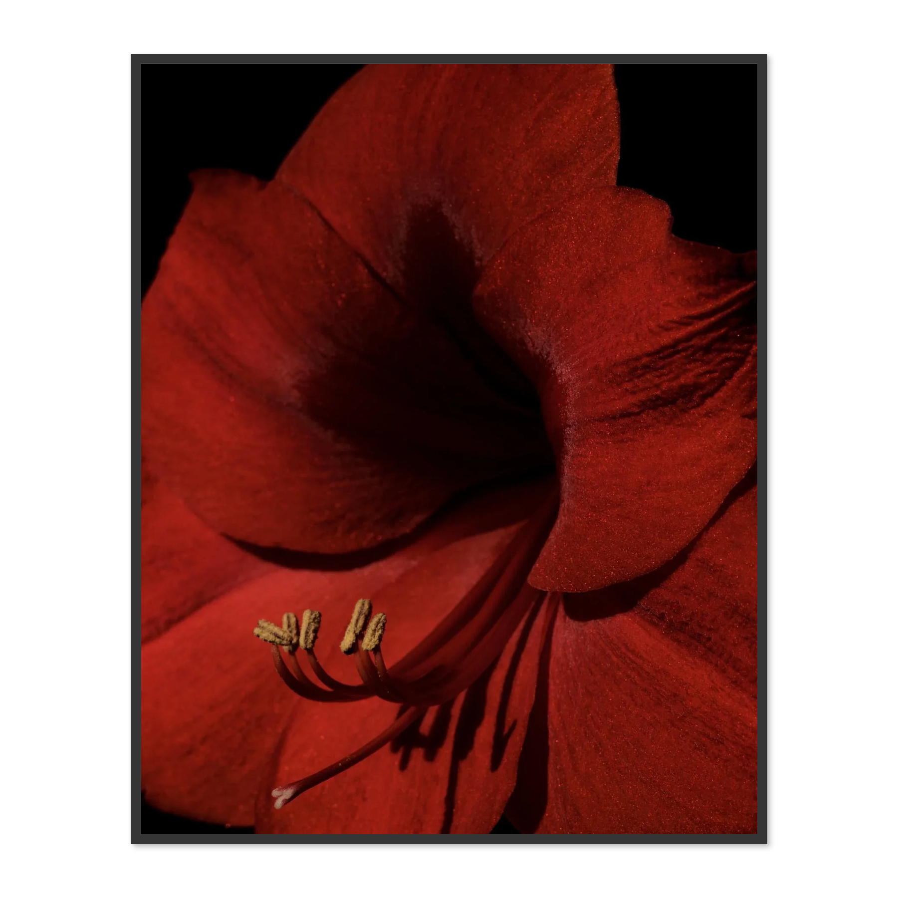 Image rendered by ArtFlows