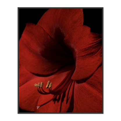 Image rendered by ArtFlows