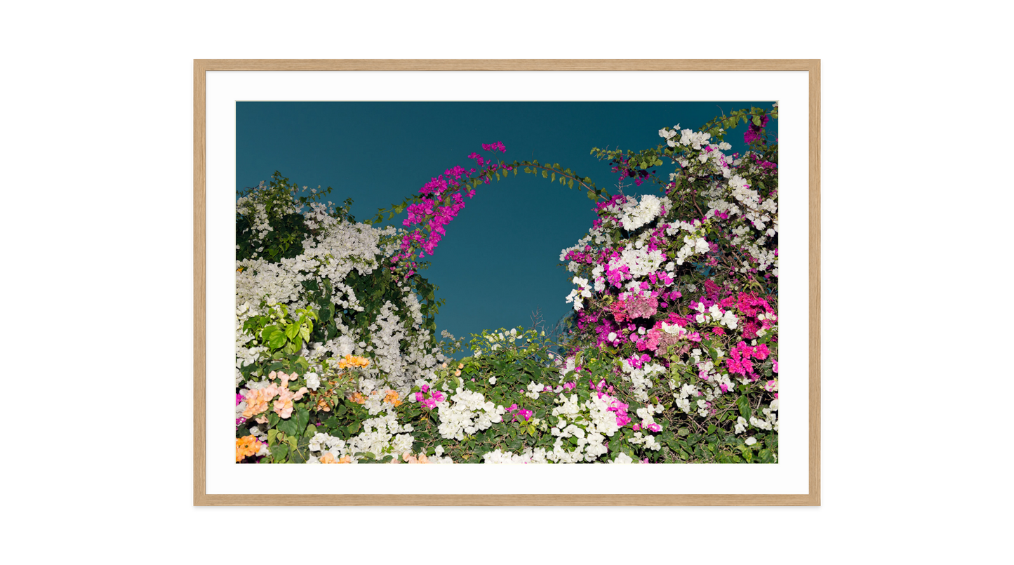 Image rendered by ArtFlows