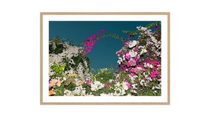 Image rendered by ArtFlows