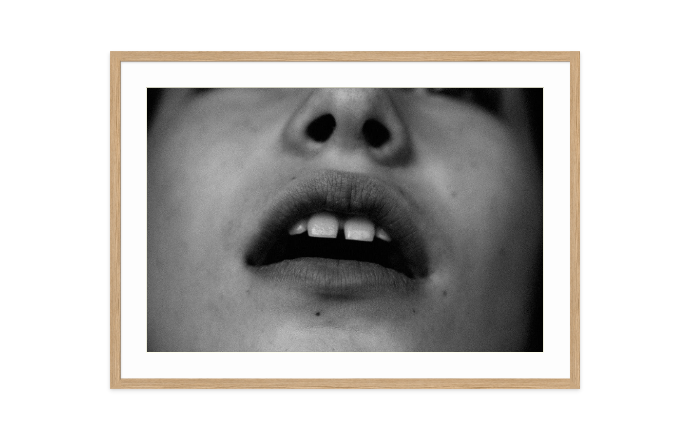Image rendered by ArtFlows