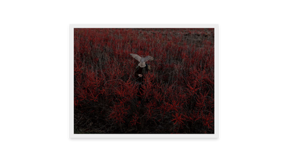 Image rendered by ArtFlows