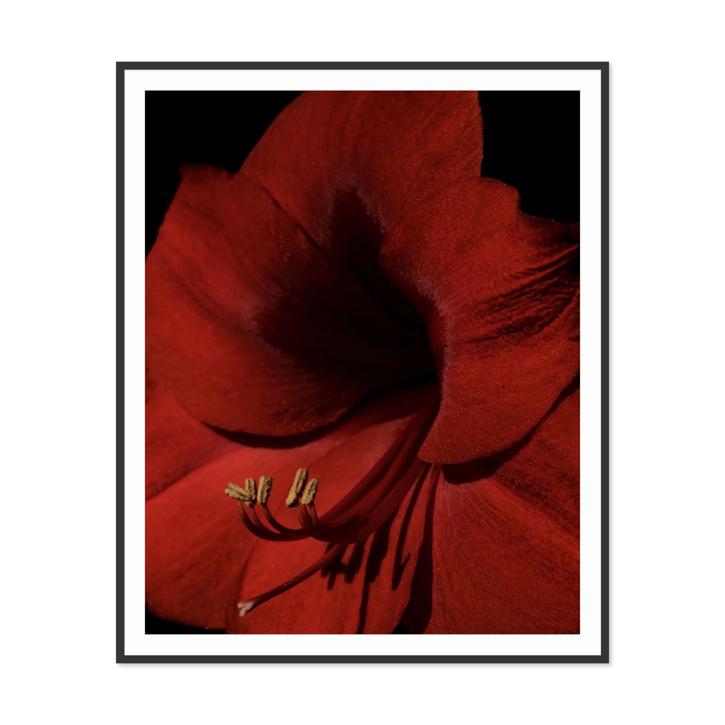 Image rendered by ArtFlows