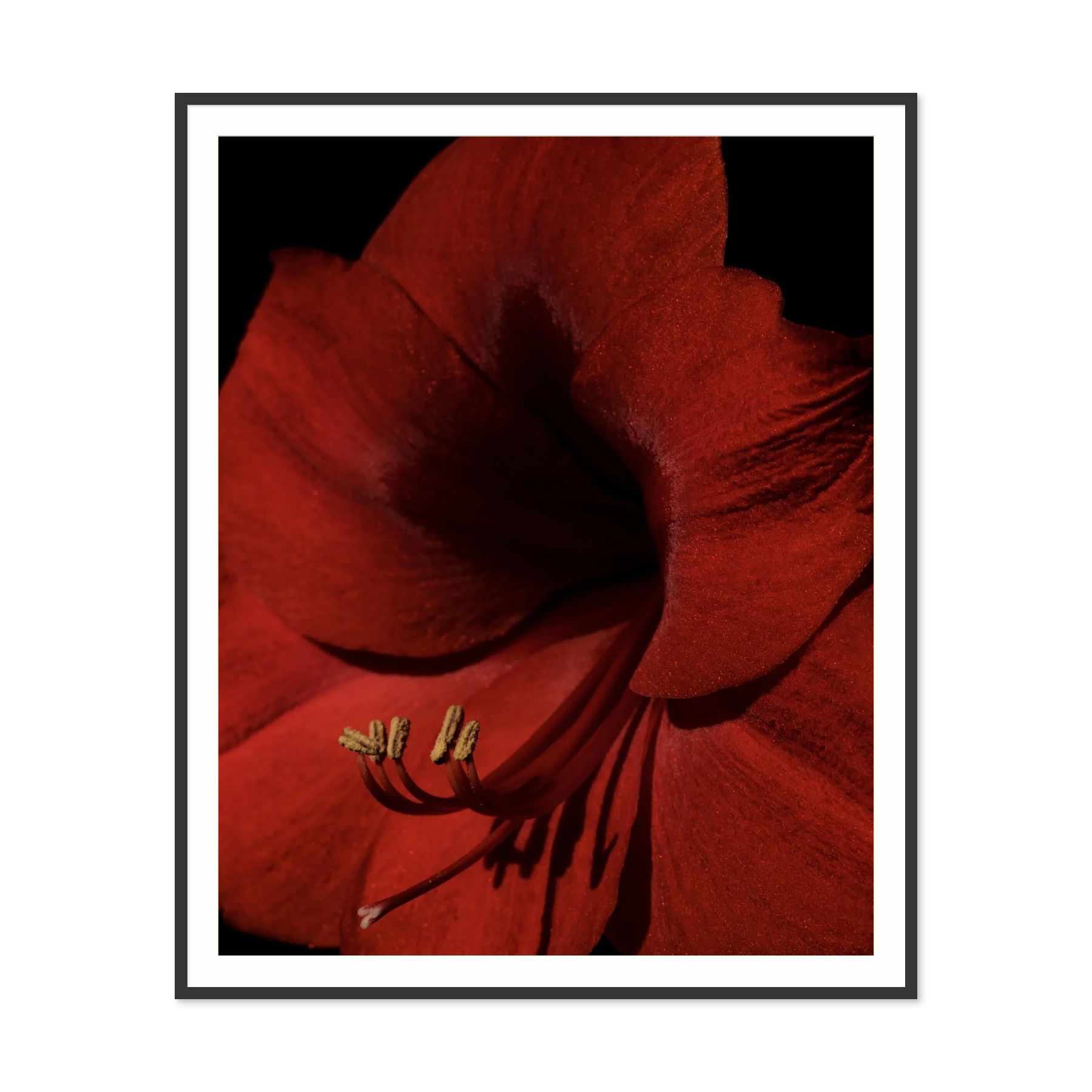 Image rendered by ArtFlows