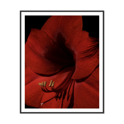 Image rendered by ArtFlows