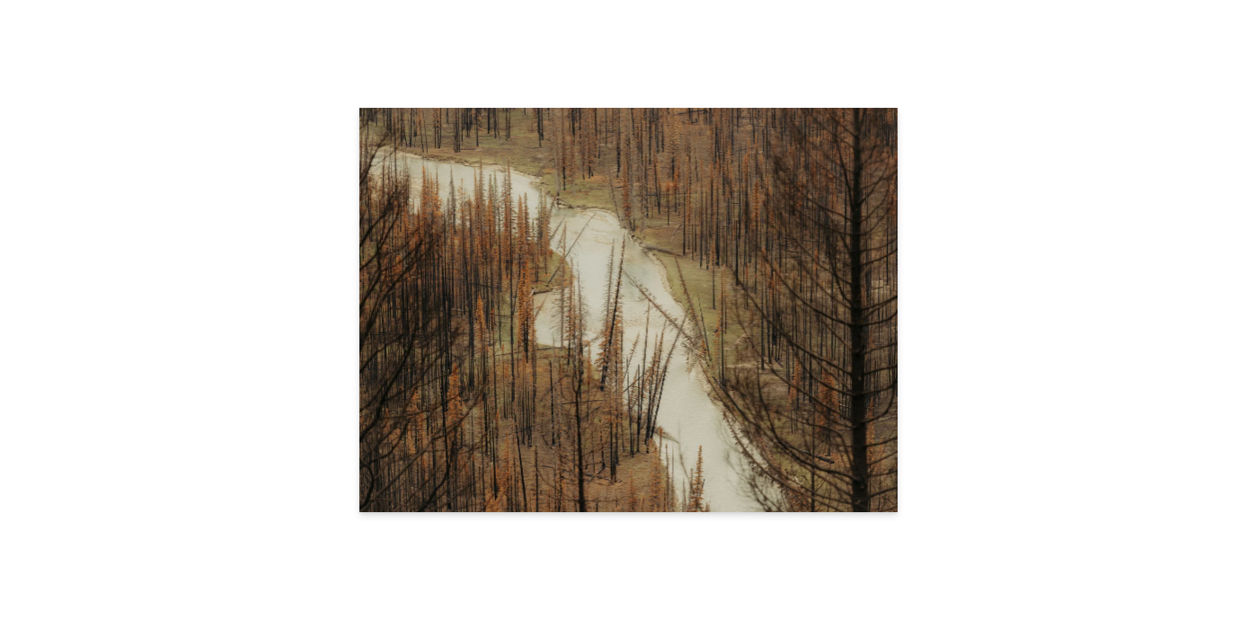 Image rendered by ArtFlows