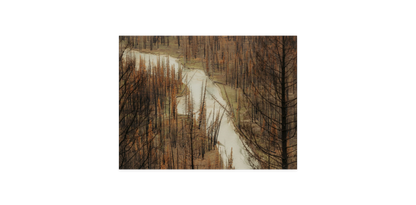 Image rendered by ArtFlows