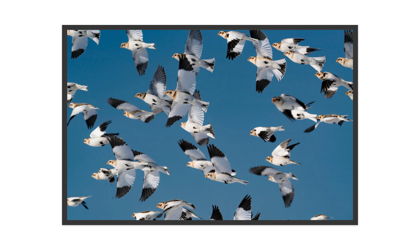 Image rendered by ArtFlows