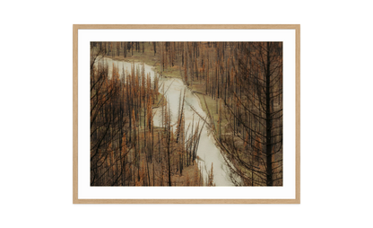 Image rendered by ArtFlows