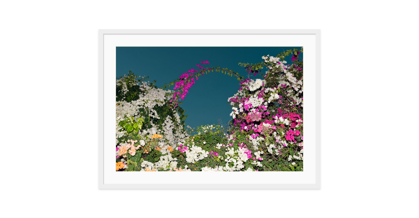 Image rendered by ArtFlows
