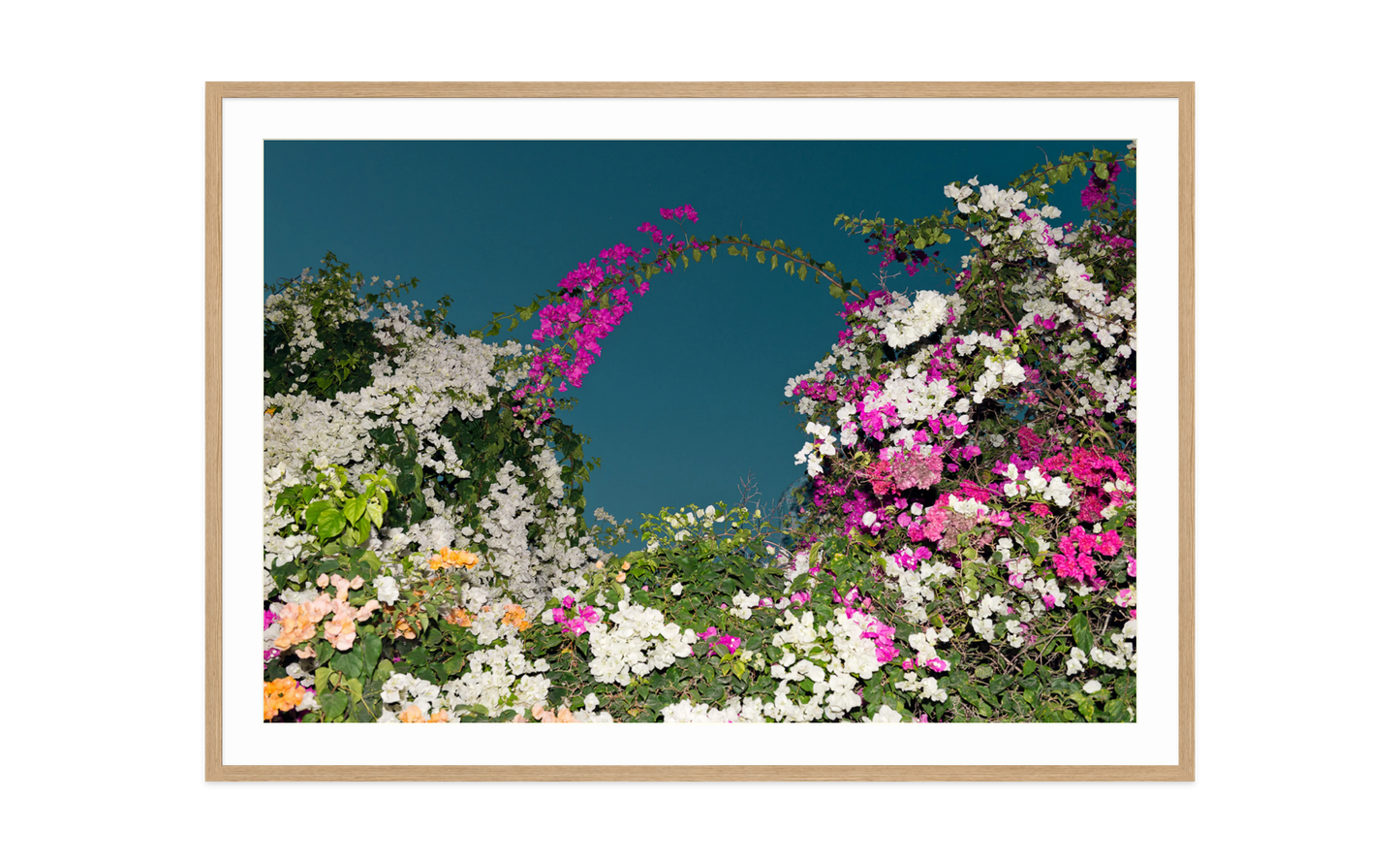 Image rendered by ArtFlows
