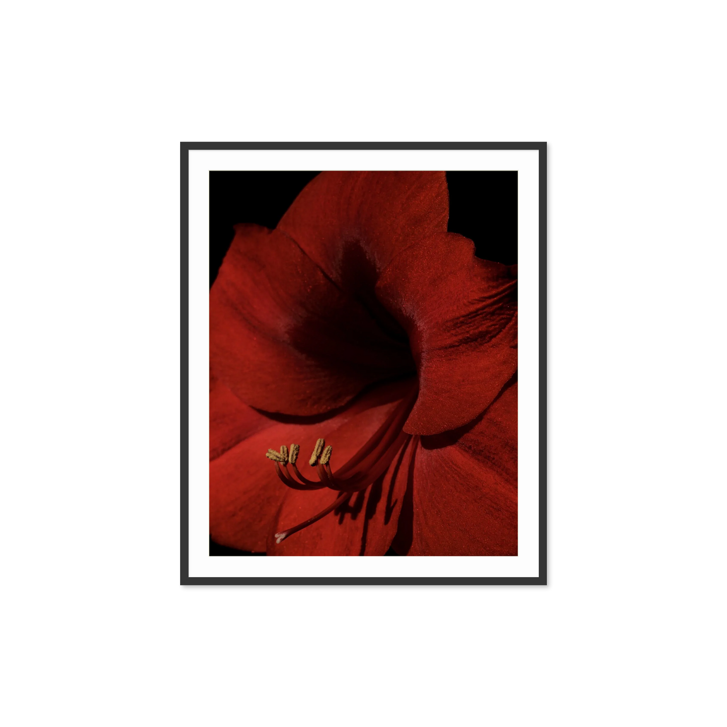 Image rendered by ArtFlows