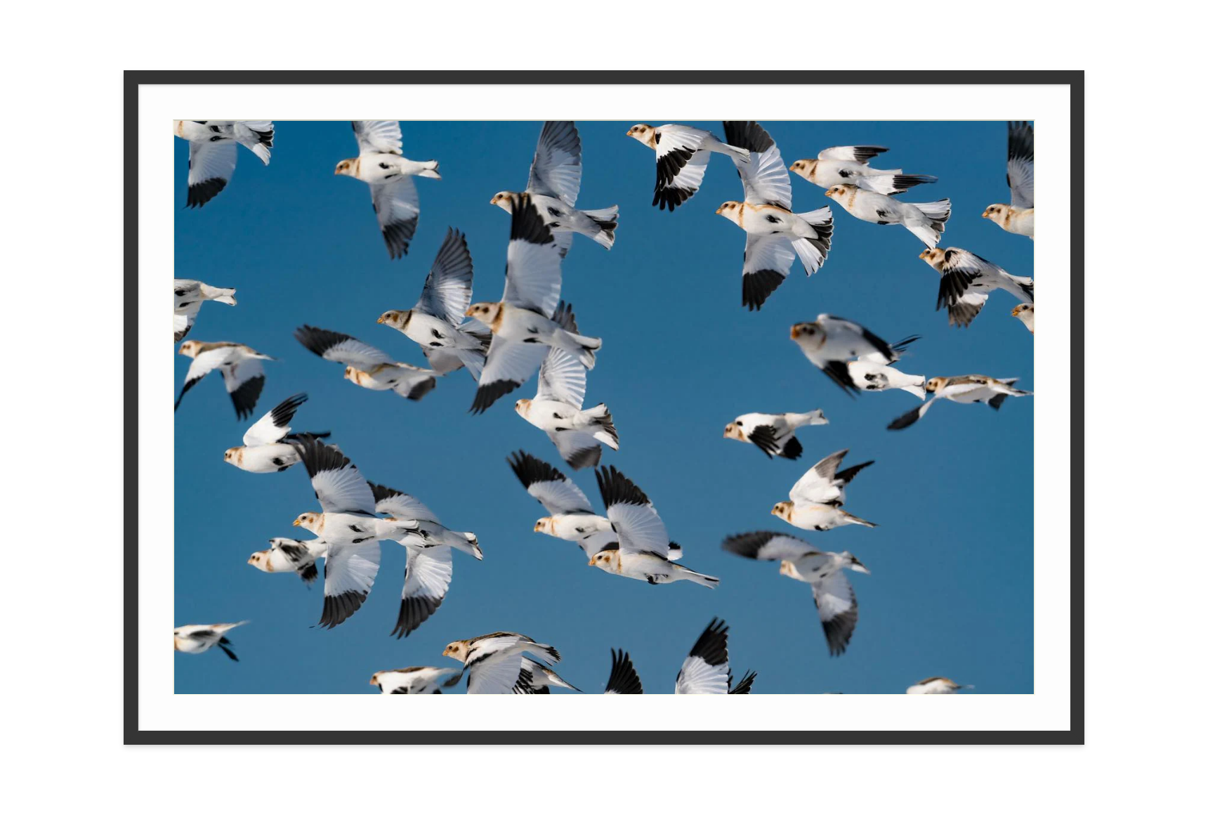 Image rendered by ArtFlows