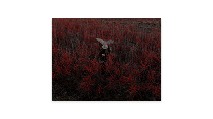 Image rendered by ArtFlows