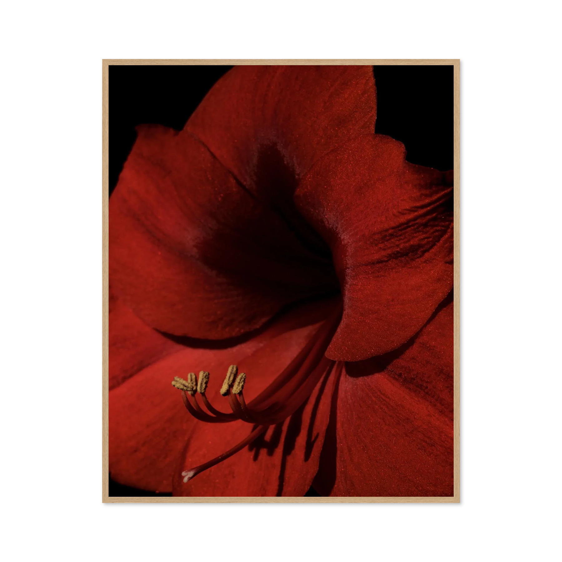 Image rendered by ArtFlows