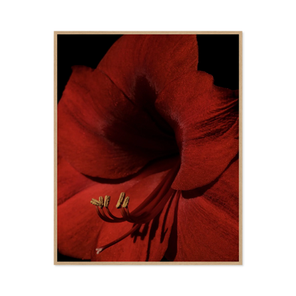 Image rendered by ArtFlows