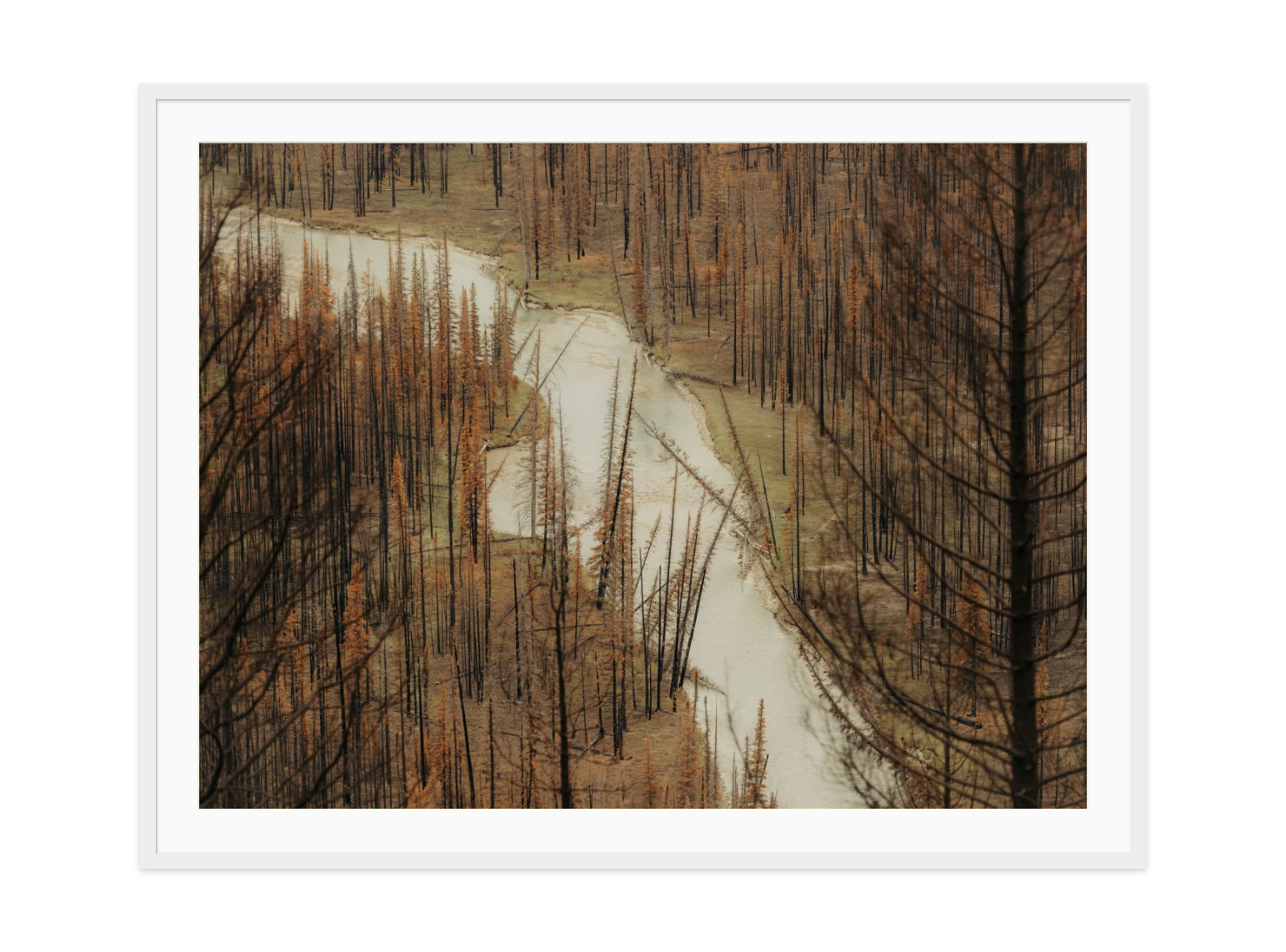 Image rendered by ArtFlows