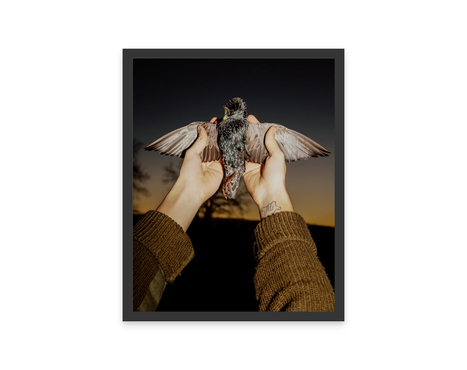Image rendered by ArtFlows
