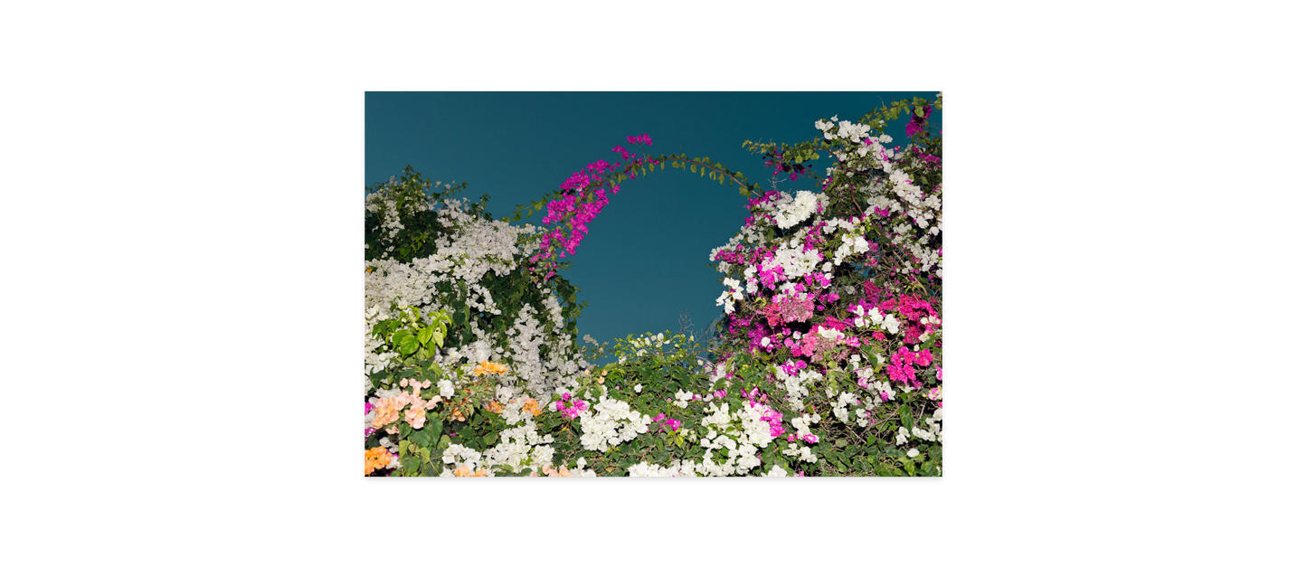Image rendered by ArtFlows