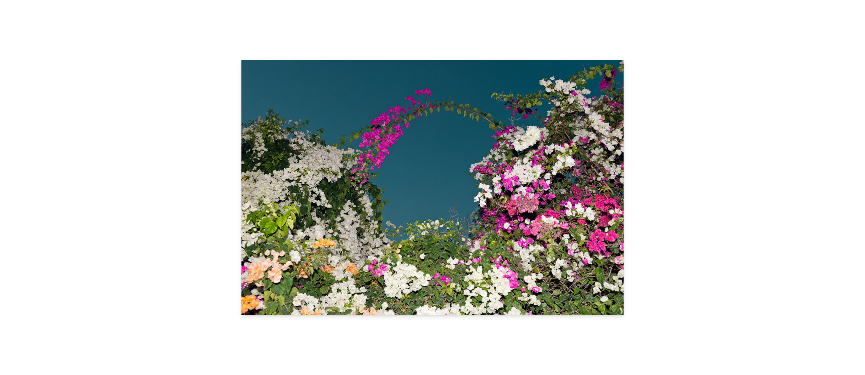 Image rendered by ArtFlows