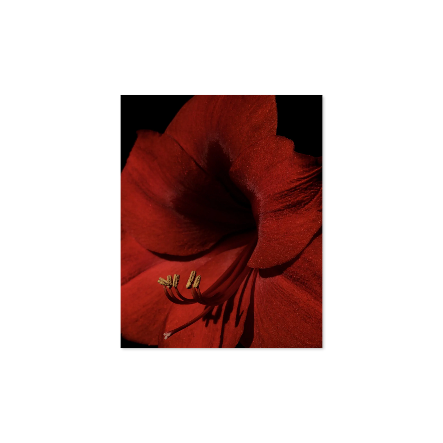 Image rendered by ArtFlows