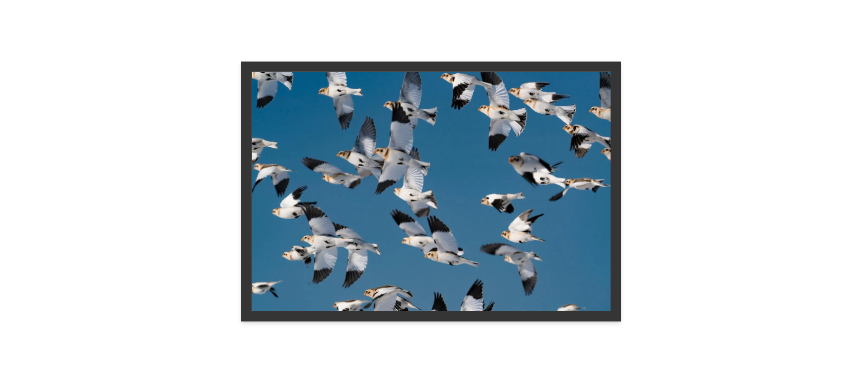 Image rendered by ArtFlows