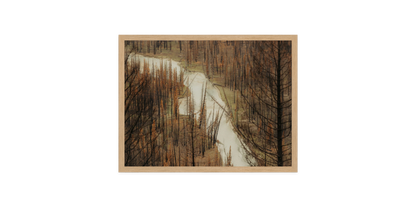 Image rendered by ArtFlows