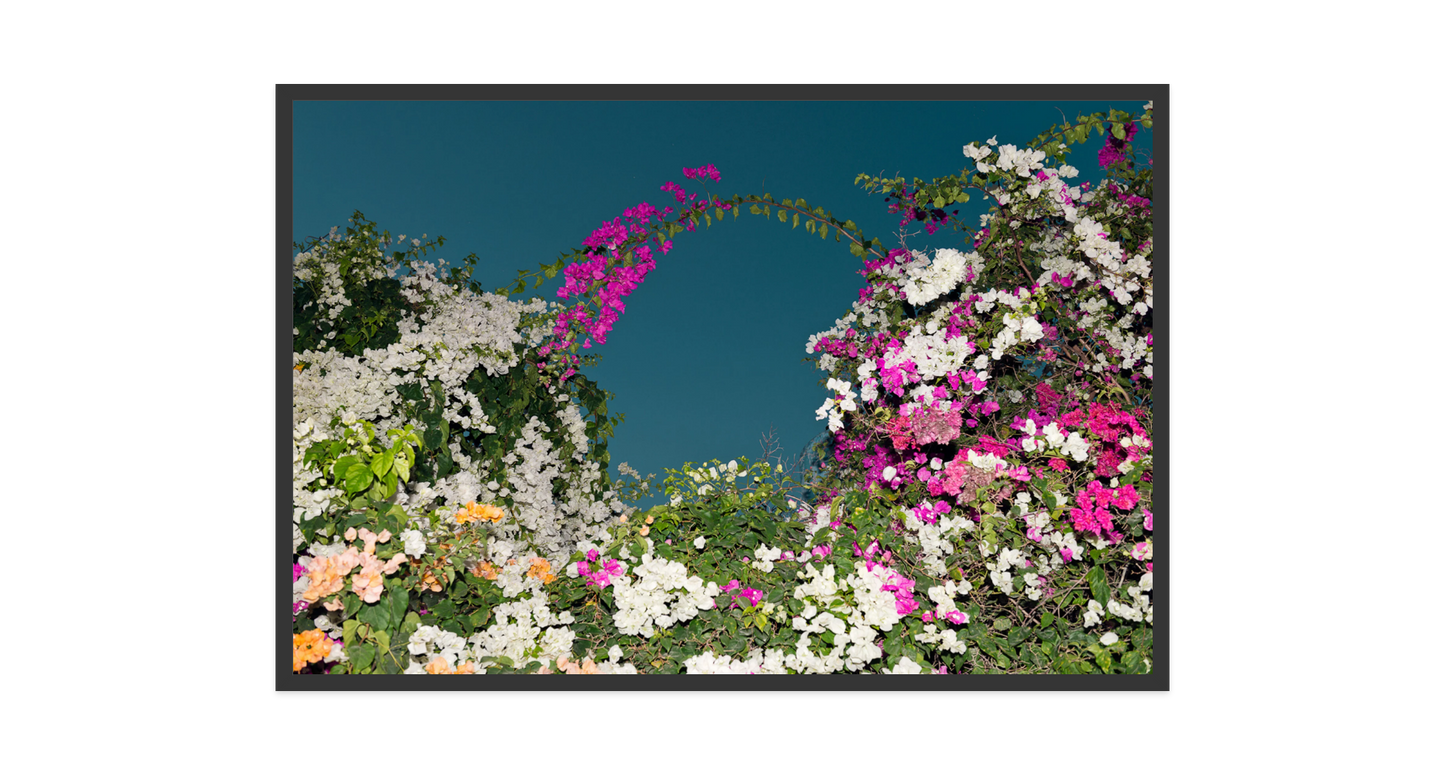Image rendered by ArtFlows