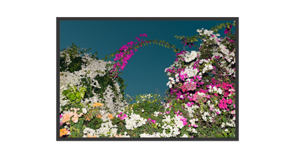 Image rendered by ArtFlows