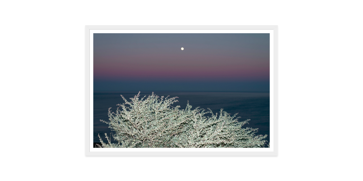 Image rendered by ArtFlows