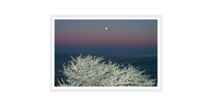 Image rendered by ArtFlows