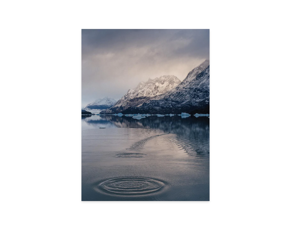 Image rendered by ArtFlows