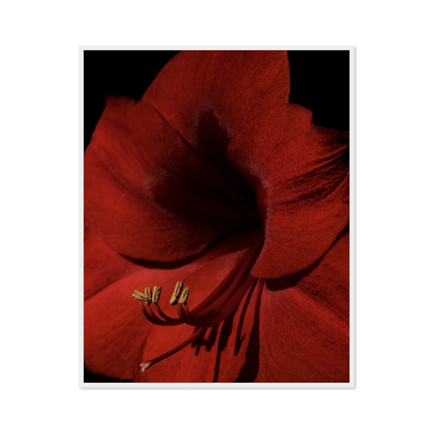 Image rendered by ArtFlows