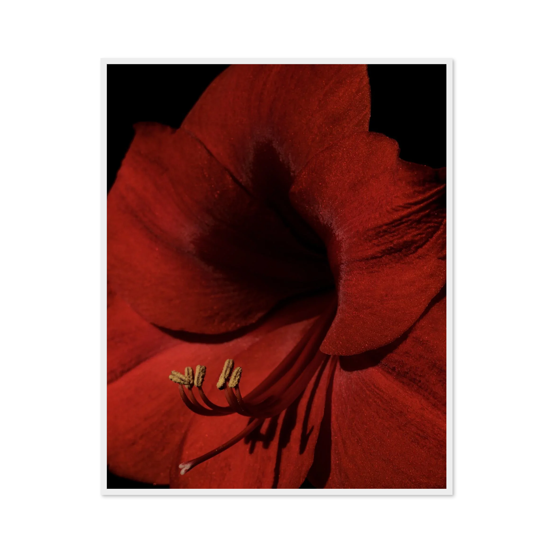 Image rendered by ArtFlows