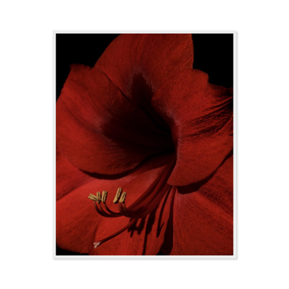 Image rendered by ArtFlows