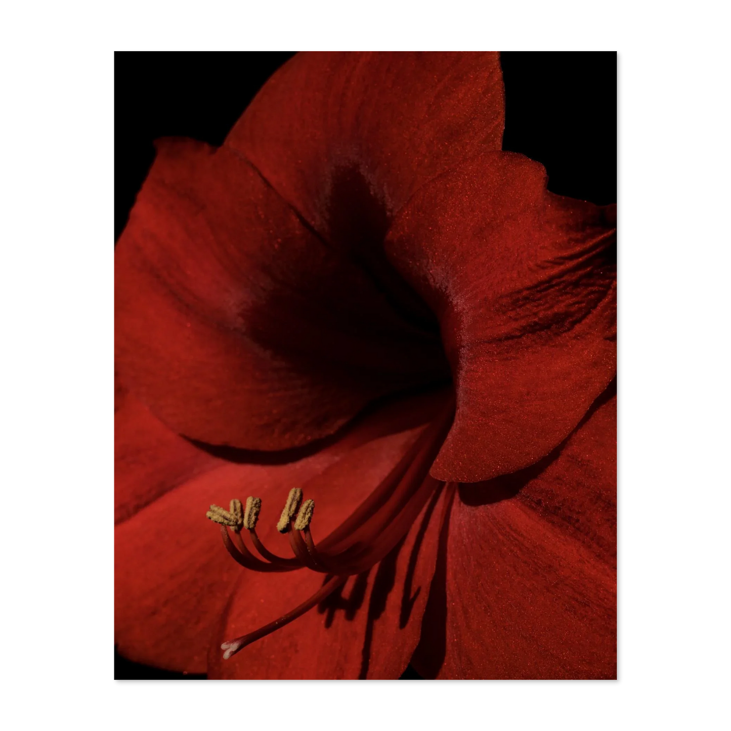 Image rendered by ArtFlows