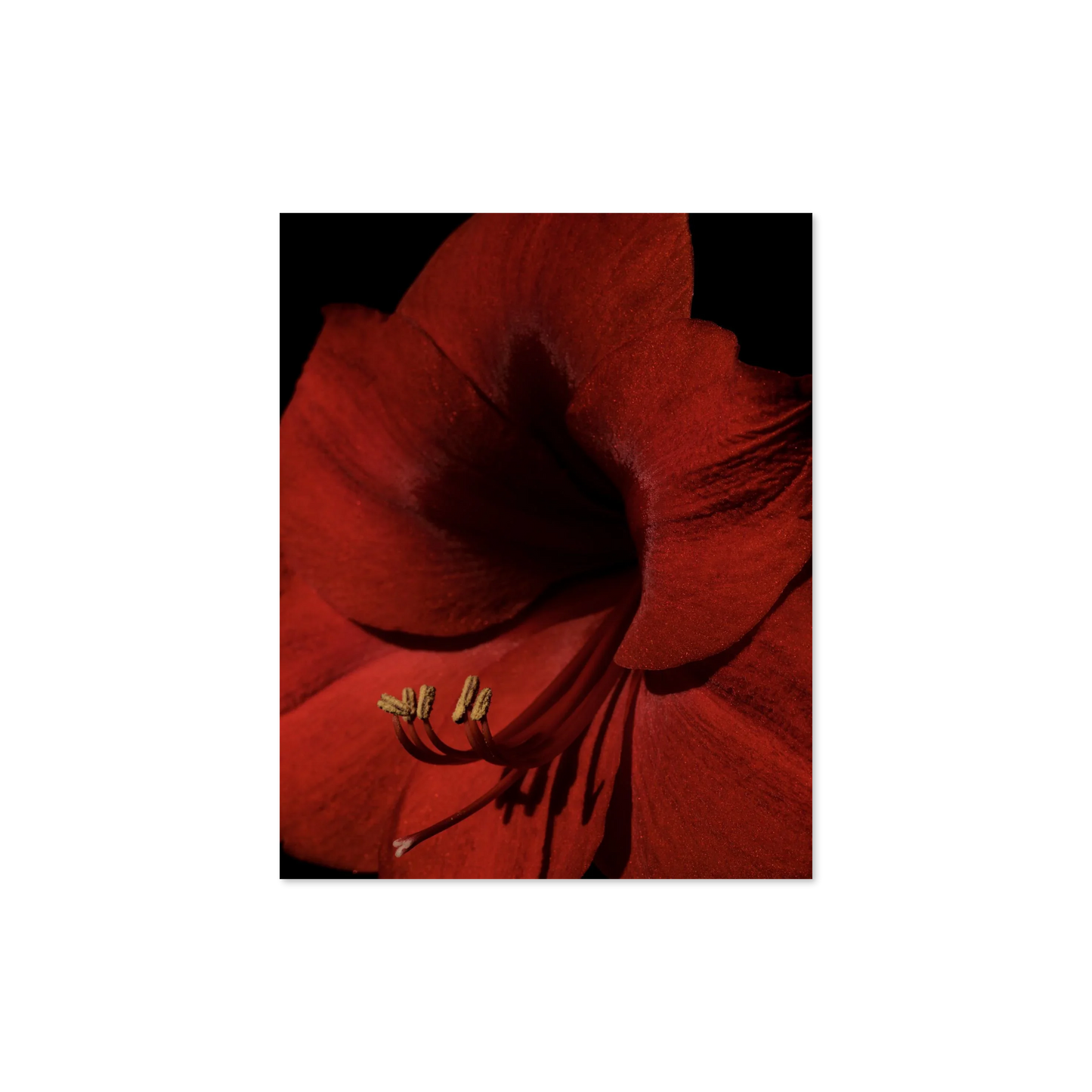 Image rendered by ArtFlows