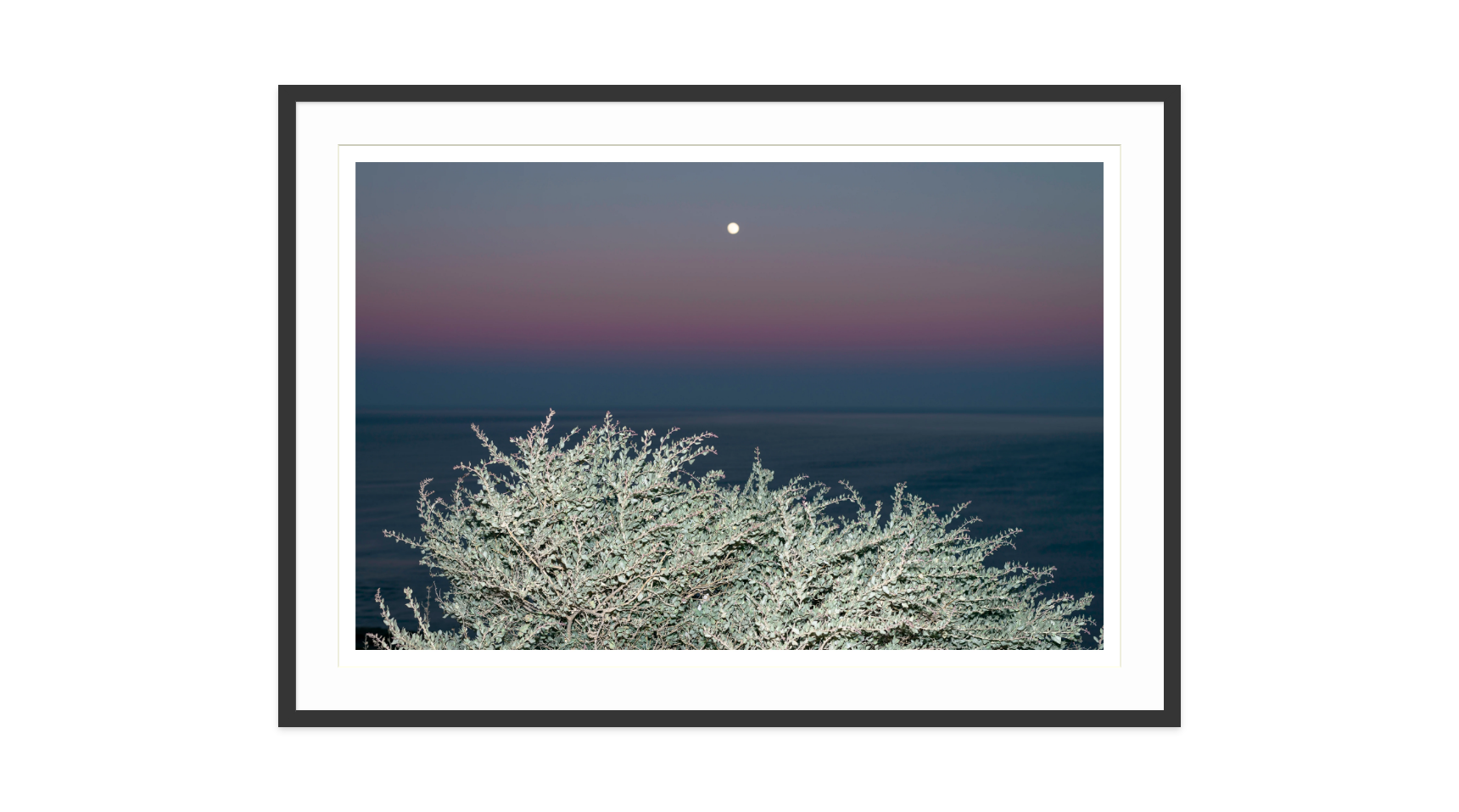 Image rendered by ArtFlows