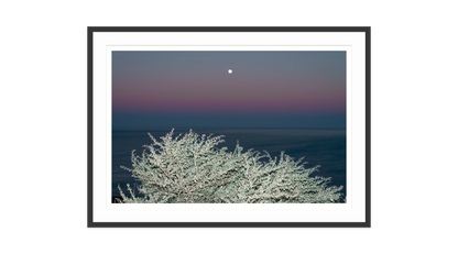 Image rendered by ArtFlows