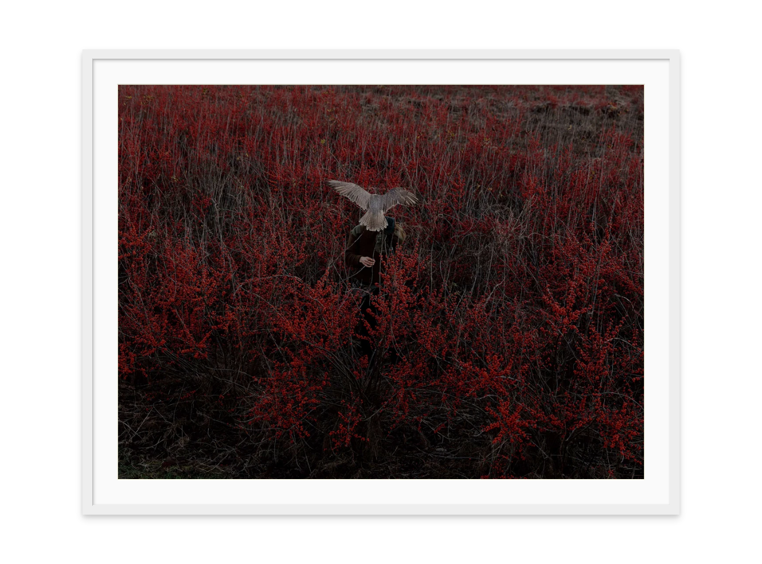 Image rendered by ArtFlows