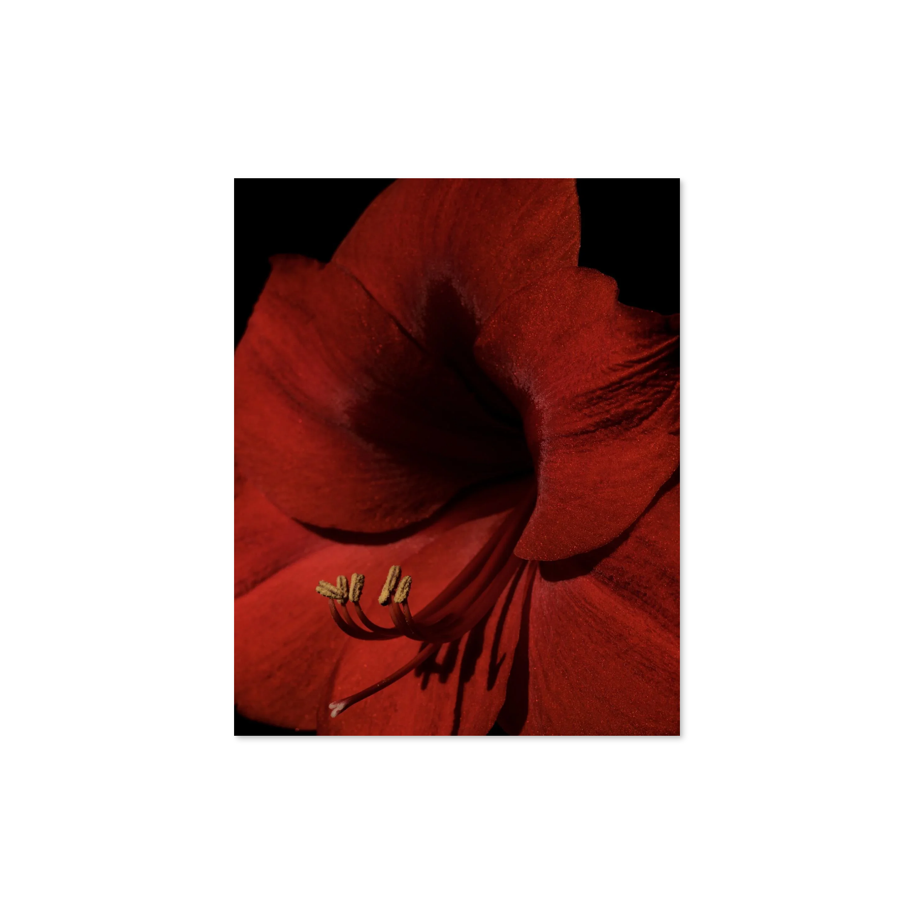 Image rendered by ArtFlows