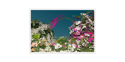 Image rendered by ArtFlows