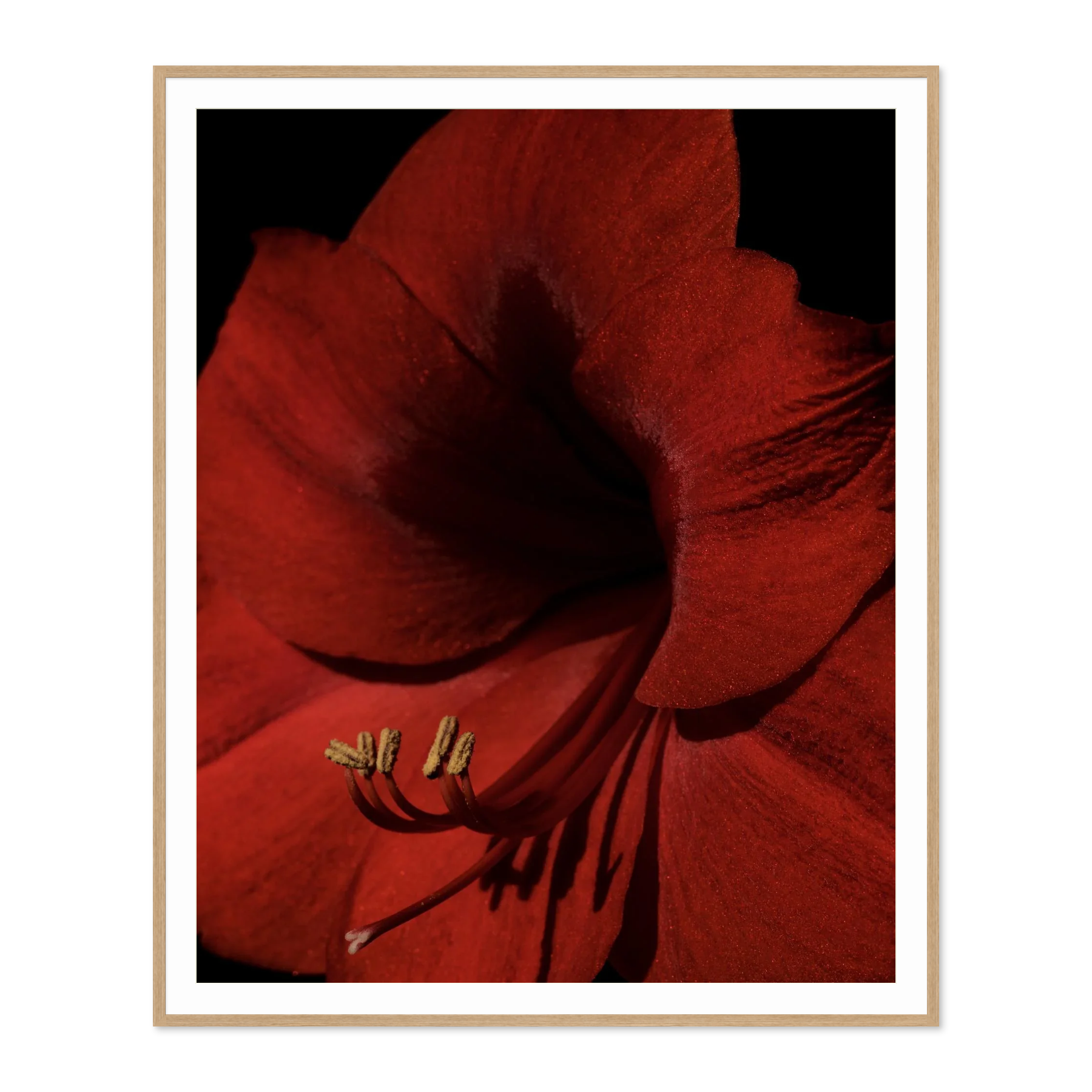Image rendered by ArtFlows