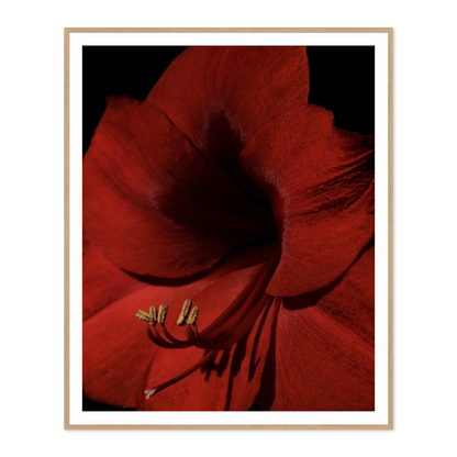 Image rendered by ArtFlows