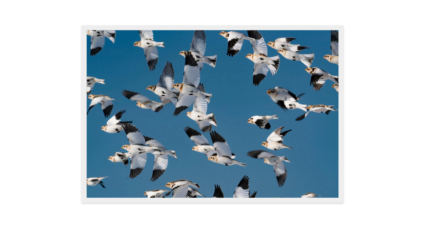 Image rendered by ArtFlows