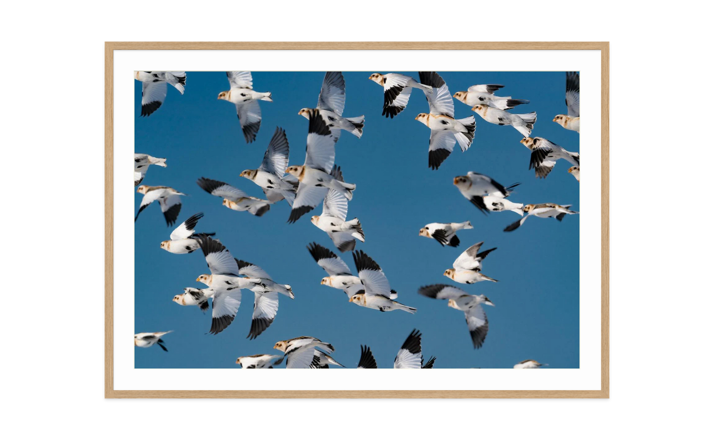 Image rendered by ArtFlows