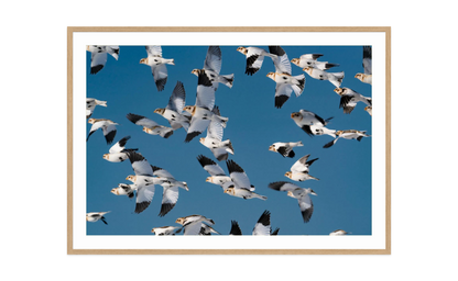 Image rendered by ArtFlows