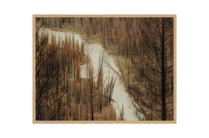 Image rendered by ArtFlows